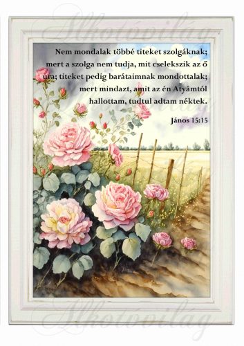 Akvarell stílusú kép keretben mező széli rózsákkal - BIBLIAI IDÉZETTEL - 19,5 x 26,5 cm