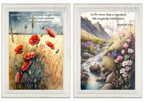 Akvarell stílusú képek keretben gyönyörű pipacsokkal, patak menti virágokkal - 2db - BIBLIAI IDÉZETEKKEL