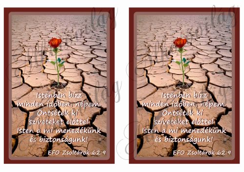 Virág szikes talajon bibliai idézettel - 2 db