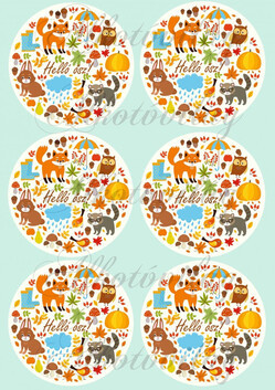 Állatos őszi körök