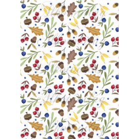 Makk, kökény, csipkebogyó