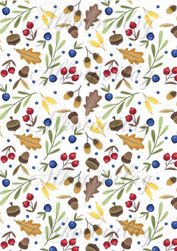 Makk, kökény, csipkebogyó