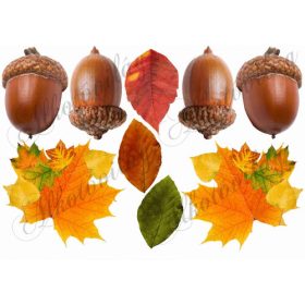 Őszi levelek makkok