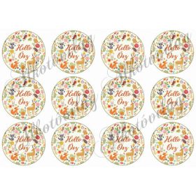 Őszi kör állatkákkal-virágokkal