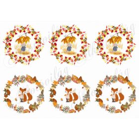 Őszi körök kisállatokkal – róka, kisegér