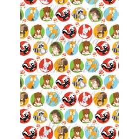 Erdei állítok körökben gombák között