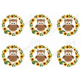 Napraforgós körök baglyokkal