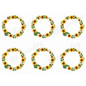 Napraforgós körök üresen