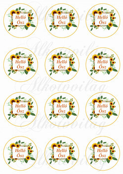 Napraforgós körök- Helló Ősz felirattal KICSIBEN