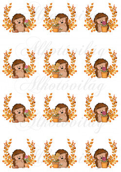 Narancssárga leveles ágak sünikkel KICSIBEN