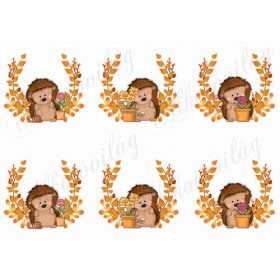 Narancssárga leveles ágak sünikkel