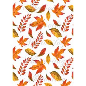 Őszi levelek a narancs árnyalataival