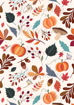 Csipkebogyó, makk, gomba, levelek