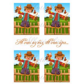 Madárijesztős kártyák