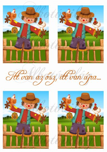 Scarecrow cards