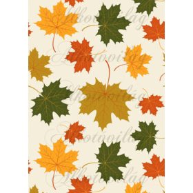 Őszi levélkavalkád