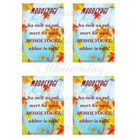 MOSOLYOGJ ha esik őszi háttérrel 4db