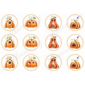 Tökházak körökben