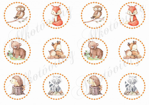 Cuki kézzel festett erdőlakó állatkák pöttyös körökben