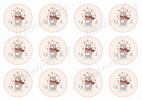 Nagyon aranyos kézzel rajzolt maci 6 cm-es körökben