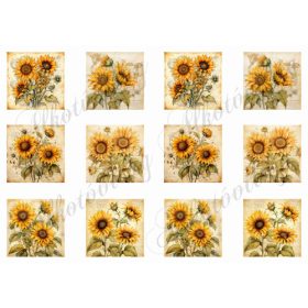 Négyzetek napraforgókkal 5,5 x 5,5 cm