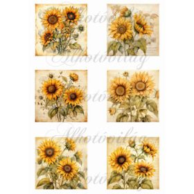 Négyzetek napraforgókkal 8 x 8 cm