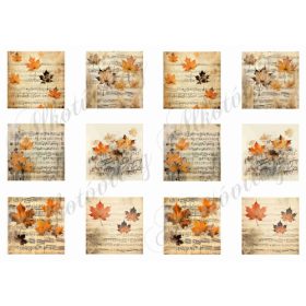 Négyzetek őszi levelekkel, kottákkal 5,5 x 5,5 cm