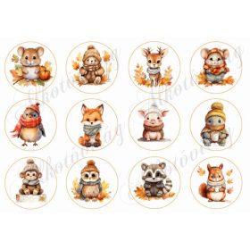 Übercuki őszi állatkák 6 cm-es körökben