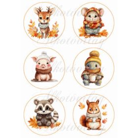 Übercuki őszi állatkák 9 cm-es körökben 2