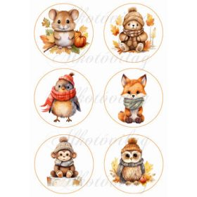 Übercuki őszi állatkák 9 cm-es körökben