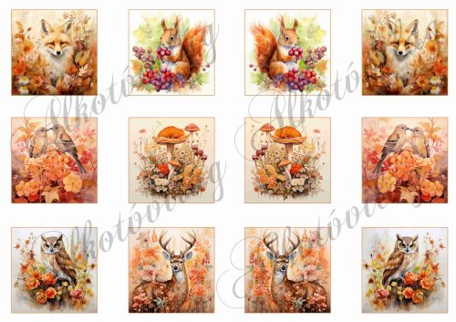 Őszi képek állatkákkal, róka, mókus, kismadár, bagoly, szarvas 5,5 x 5,5 cm négyzetekben