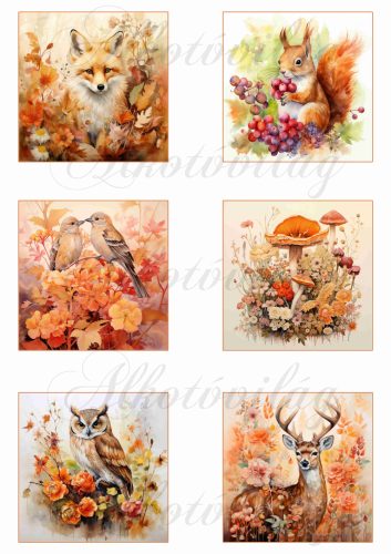 Őszi képek állatkákkal, róka, mókus, kismadár, bagoly, szarvas 8 x 8 cm négyzetekben