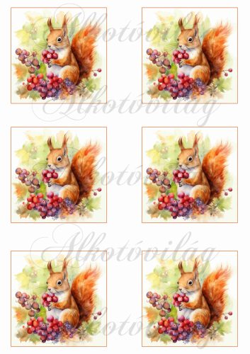Őszi képek mókusokkal 8 x 8 cm