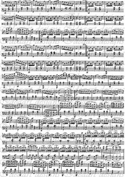 Kottás fehér alapon