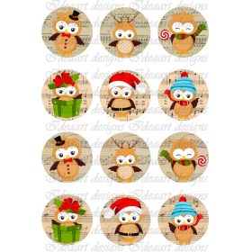 Kottás körök baglyokkal