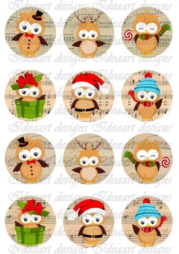 Kottás körök baglyokkal