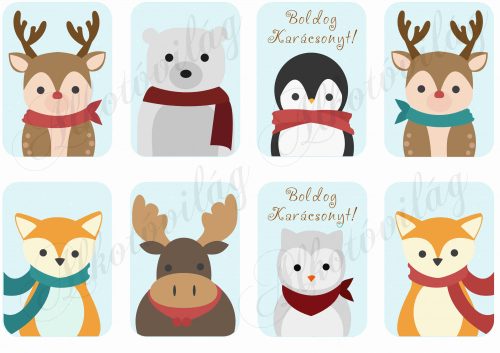 Karácsonyi állatok sálban