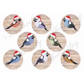 Madárkás fa háttérrel MIKULÁSSAPKÁBAN