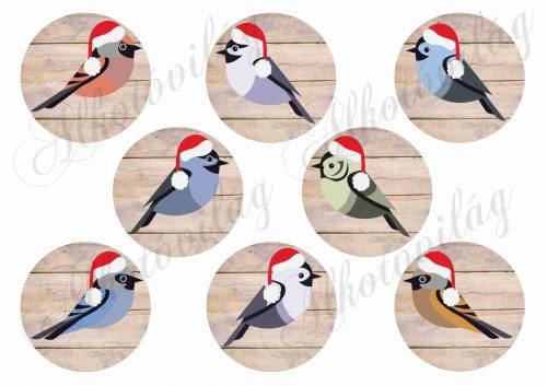 Madárkás fa háttérrel MIKULÁSSAPKÁBAN