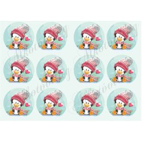Pingvin körökben 12 db