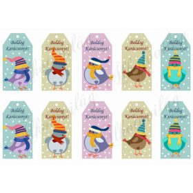   Tüneményes kismadarak sapiban, hóesésben üdvözlőkártyákon BOLDOG KARÁCSONYT felirattal