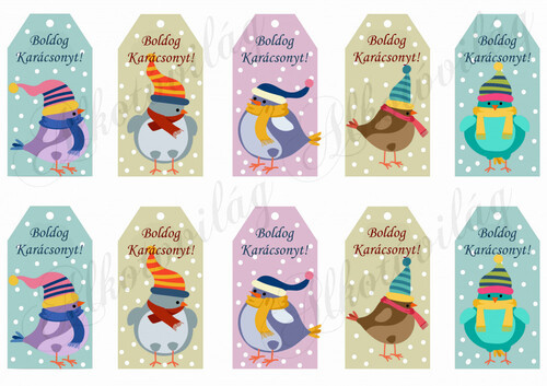 Tüneményes kismadarak sapiban, hóesésben üdvözlőkártyákon BOLDOG KARÁCSONYT felirattal