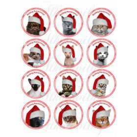 Cicák karikákban karácsonyi sapikban