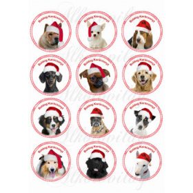 Kutyuskák karikákban karácsonyi sapikban