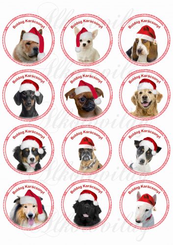 puppies in circles in Christmas hats