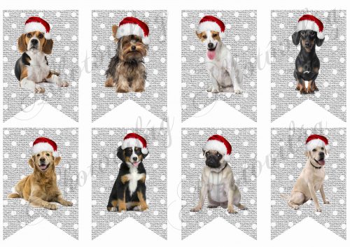 Pöttyös banner karácsonyi kutyusokkal