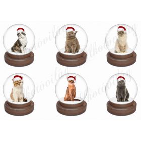 Cicák mikulássapkában hógömbben 2