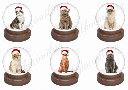 Cicák mikulássapkában hógömbben 2