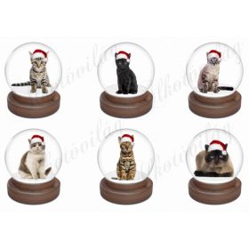 Cicák mikulássapkában hógömbben