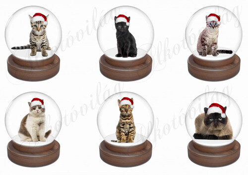 Cicák mikulássapkában hógömbben